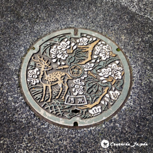 Alcantarilla-japon-nara